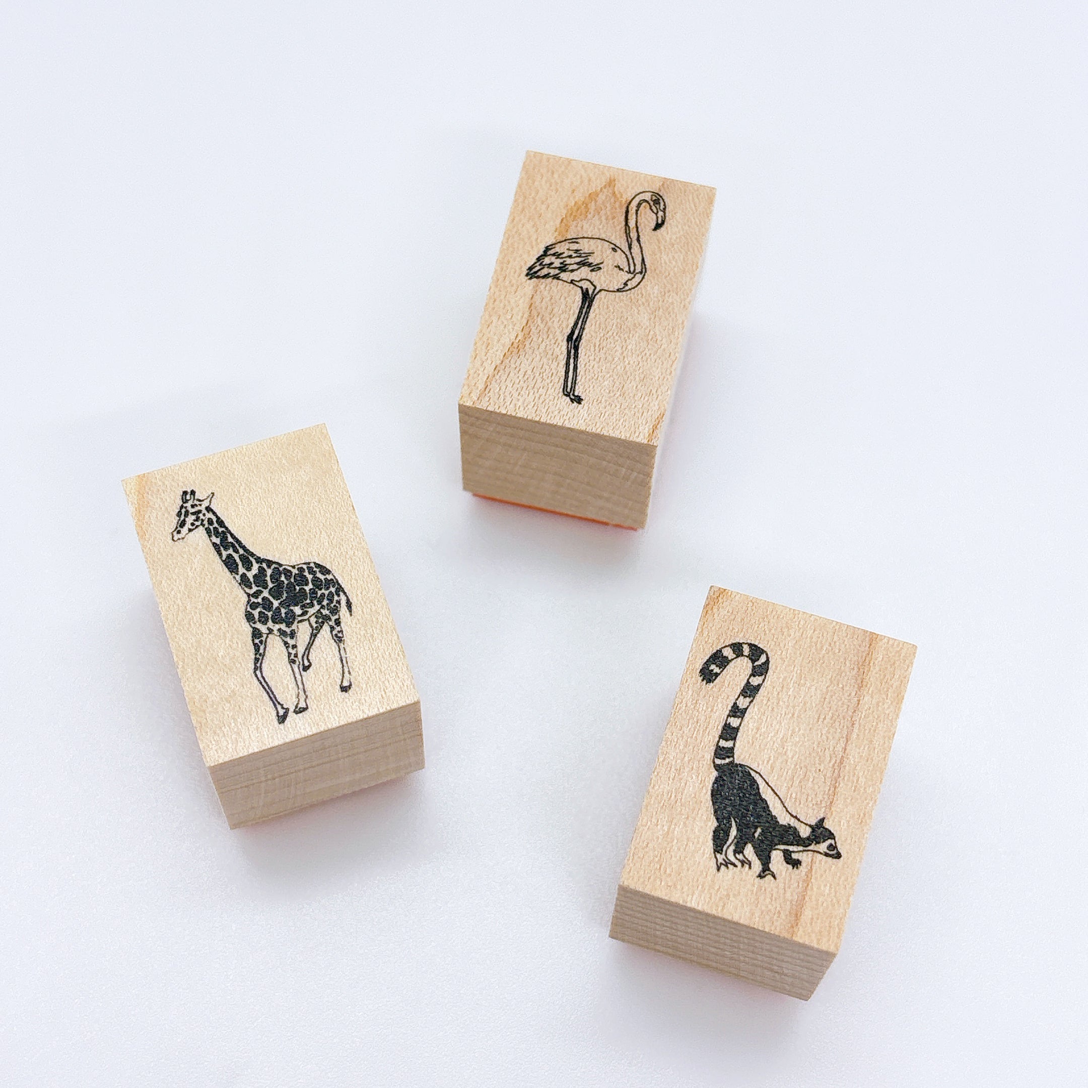 an1_7e54bcf1-66f6-4889-9367-