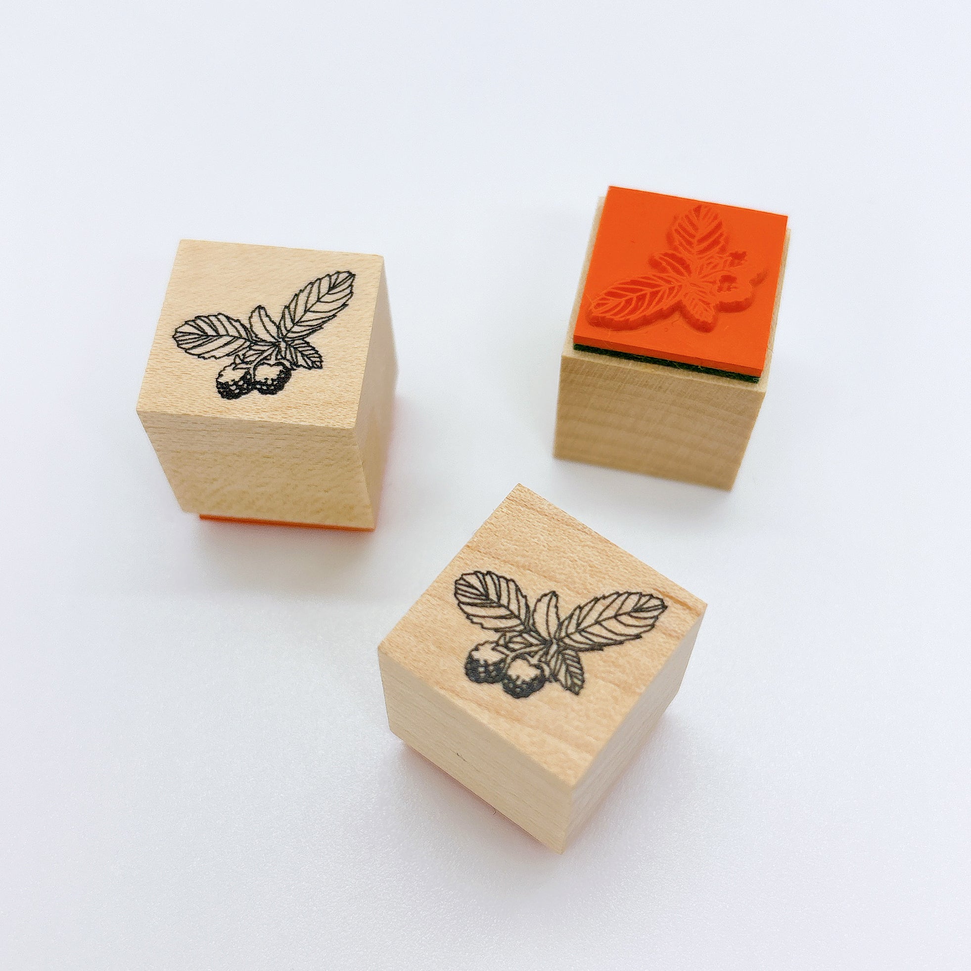 スタンプ（リンゴ／ブルーベリー／木苺） – souq-company